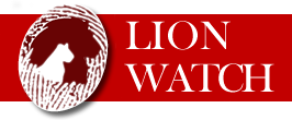 Award for Lion Watch