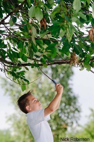 Another Wildlife Trust using WK